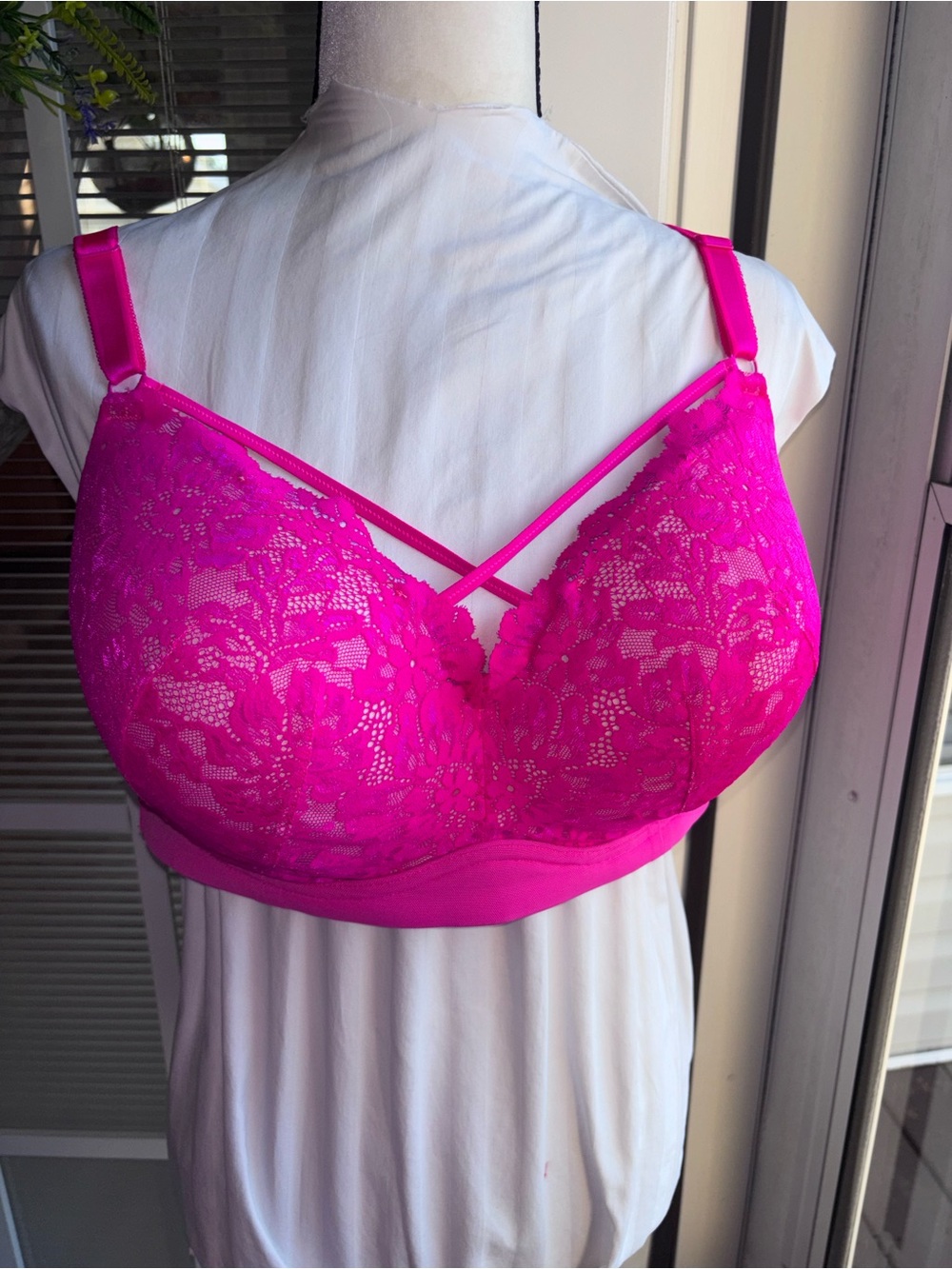 Plus size Dream Wire-Free Torrid Pink Push up Bra 44DD ~ NWOT